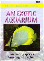 An Exotic Aquarium - 