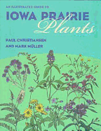 An Illustrated Guide to Iowa Prairie Plants