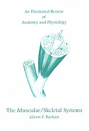 An Illustrated Review of Anatomy and Physiology: The Muscular/Skeletal Systems