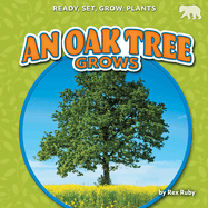 An Oak Tree Grows