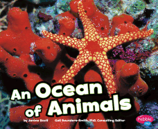 An Ocean of Animals