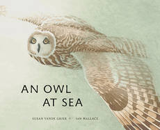 An Owlat Sea