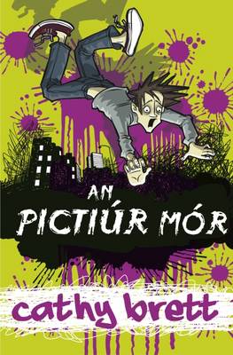 An Pictiur Mhor - Brett, Cathy (Illustrator), and Mac Dhonnagain, Tadhg (Translated by)