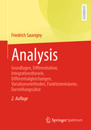 Analysis: Grundlagen, Differentiation, Integrationstheorie, Differentialgleichungen, Variationsmethoden, Funktionenrume, Darstellungsstze