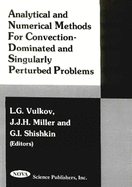 Analytical and Numerical Methods for Convention-Dominated and Singularly Perturbed Problems