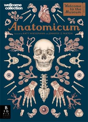 Anatomicum - Paxton, Jennifer Z