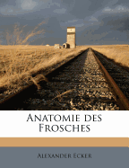 Anatomie Des Frosches