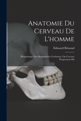 Anatomie Du Cerveau De L'homme: Morphologie Des H?misph?res C?r?braux, Ou Cerveau Proprement Dit - Brissaud, ?douard