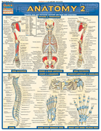 Anatomy 2 - Reference Guide