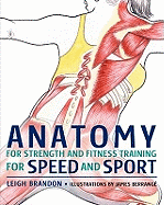 Anatomy for Strength and Fitness Training for Speed and Sport