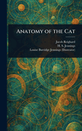 Anatomy of the Cat