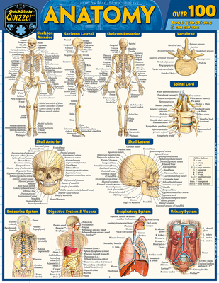 Anatomy Quizzer: A Quickstudy Laminated Reference Guide - Perez, Vincent