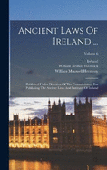 Ancient Laws Of Ireland ...: Published Under Direction Of The Commissioners For Publishing The Ancient Laws And Institutes Of Ireland; Volume 6