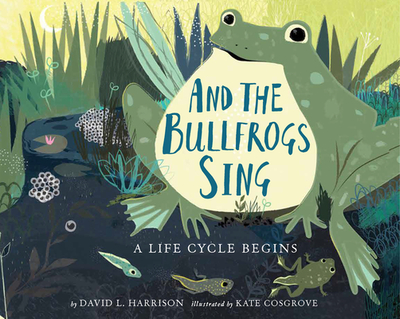 And the Bullfrogs Sing: A Life Cycle Begins - Harrison, David L