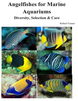 Angelfishes for Marine Aquariums: Diversity, Selection & Care - Fenner, Robert