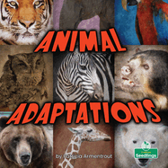 Animal Adaptations