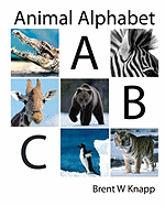 Animal Alphabet: From Alligator to Zebra