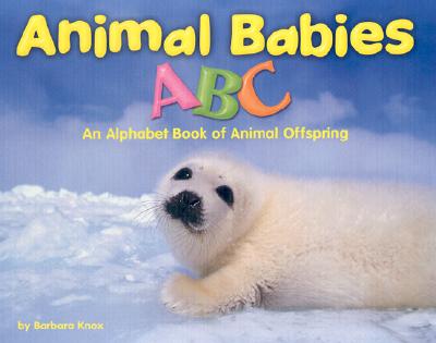 Animal Babies ABC: An Alphabet Book of Animal Offspring - Knox, Barbara, and Schuette, Sarah L