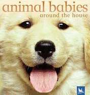 Animal Babies Around the House