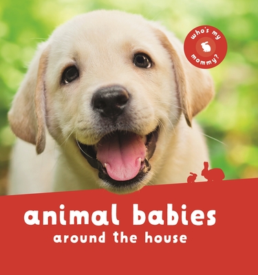 Animal Babies Around the House - Kingfisher Books