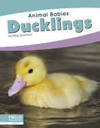 Animal Babies: Ducklings