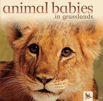 Animal Babies in Grasslands - Kingfisher Books