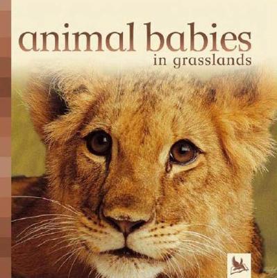 Animal Babies in Grasslands - Kingfisher Books