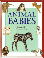 Animal Babies