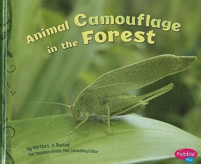 Animal Camouflage in the Forest - Rustad, Martha E H