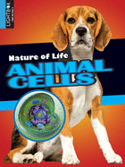 Animal Cells