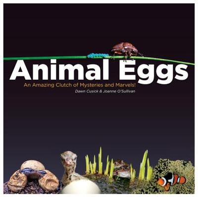 Animal Eggs: An Amazing Clutch of Mysteries and Marvels - Cusick, Dawn, and O'Sullivan, Joanne