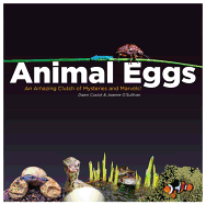 Animal Eggs: An Amazing Clutch of Mysteries and Marvels