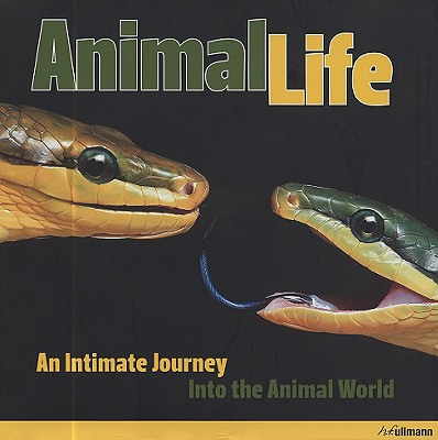 Animal Life: An Intimate Journey Into the Animal World - Koch, Heidi (Photographer), and Koch, Hans-Jurgen (Photographer), and Rasper, Martin (Text by)