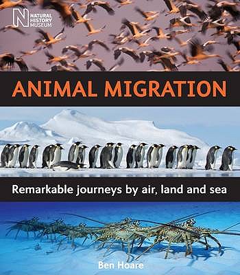 Animal Migration: Remarkable Journeys by Air, Land and Sea - Hoare, Ben
