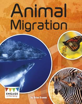 Animal Migration - Krumm, Brian