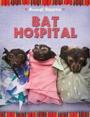 Animal Rescue: Bat Hospital - Hibbert, Clare