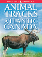 Animal Tracks of Atlantic Canada