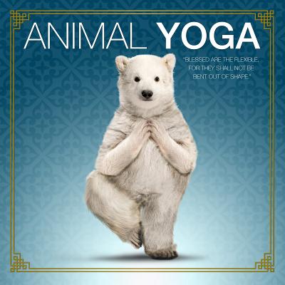 Animal Yoga - Willow Creek Press
