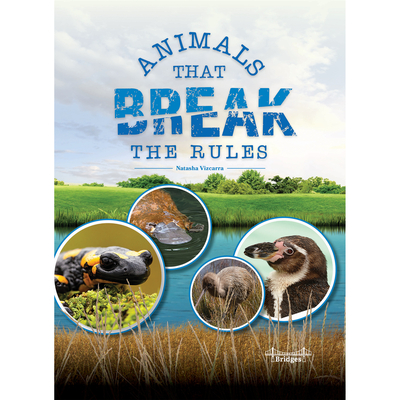 Animals That Break the Rules - Vizcarra