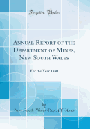 Annual Report of the Department of Mines, New South Wales: For the Year 1880 (Classic Reprint)