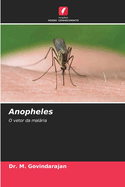 Anopheles