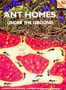 Ant Homes Under the Ground: Science and Math Activities for Young Children