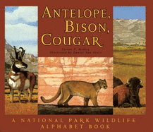 Antelope, Bison, Cougar
