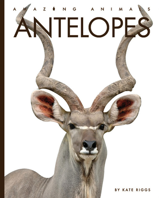 Antelopes - Riggs, Kate