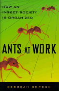 Ants at Work: How an Insect Society Is Organized