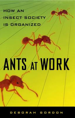 Ants at Work: How an Insect Society Is Organized - Gordon, Deborah, Esq