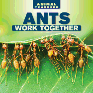 Ants Work Together