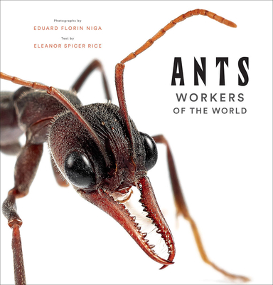 Ants: Workers of the World - Spicer Rice, Eleanor, and Niga, Eduard Florin (Photographer)