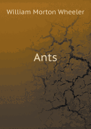 Ants