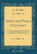 Apple and Peach Culturist: Full and Practical Instruction, with Descriptive Catalogues with Illustrations, Also a Treatise on Insects and Their Extermination (Classic Reprint)